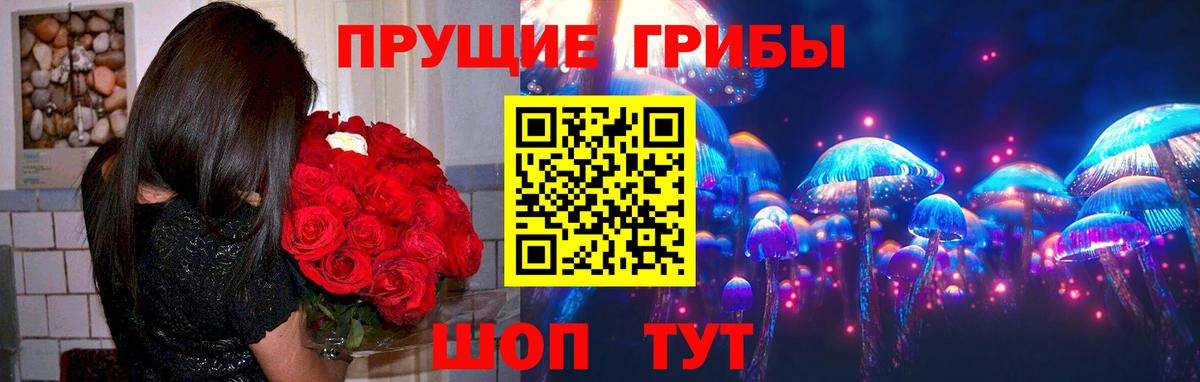 Псилоцибиновые грибы прущие грибы  Вход с VPN  Еманжелинск 