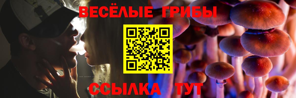 Псилоцибиновые грибы Psilocybe Еманжелинск